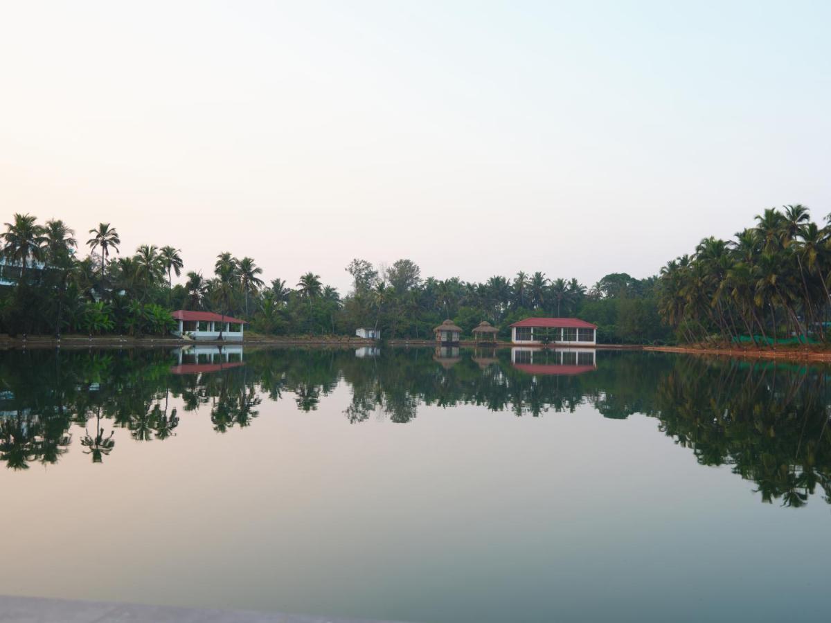 Veda5 Wellness Retreat & Spa Eski Goa Dış mekan fotoğraf
